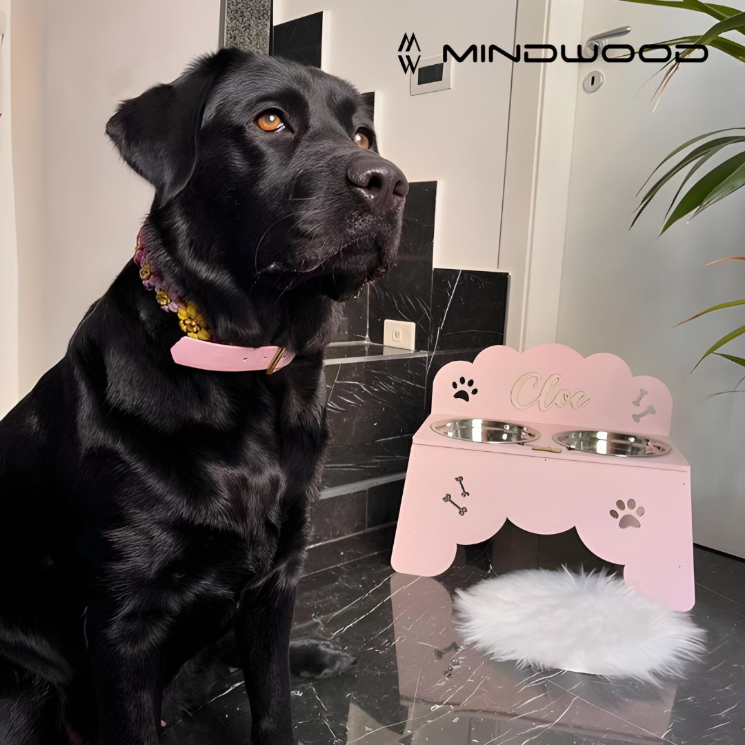 Food Paw | Portaciotole per cani e gatti