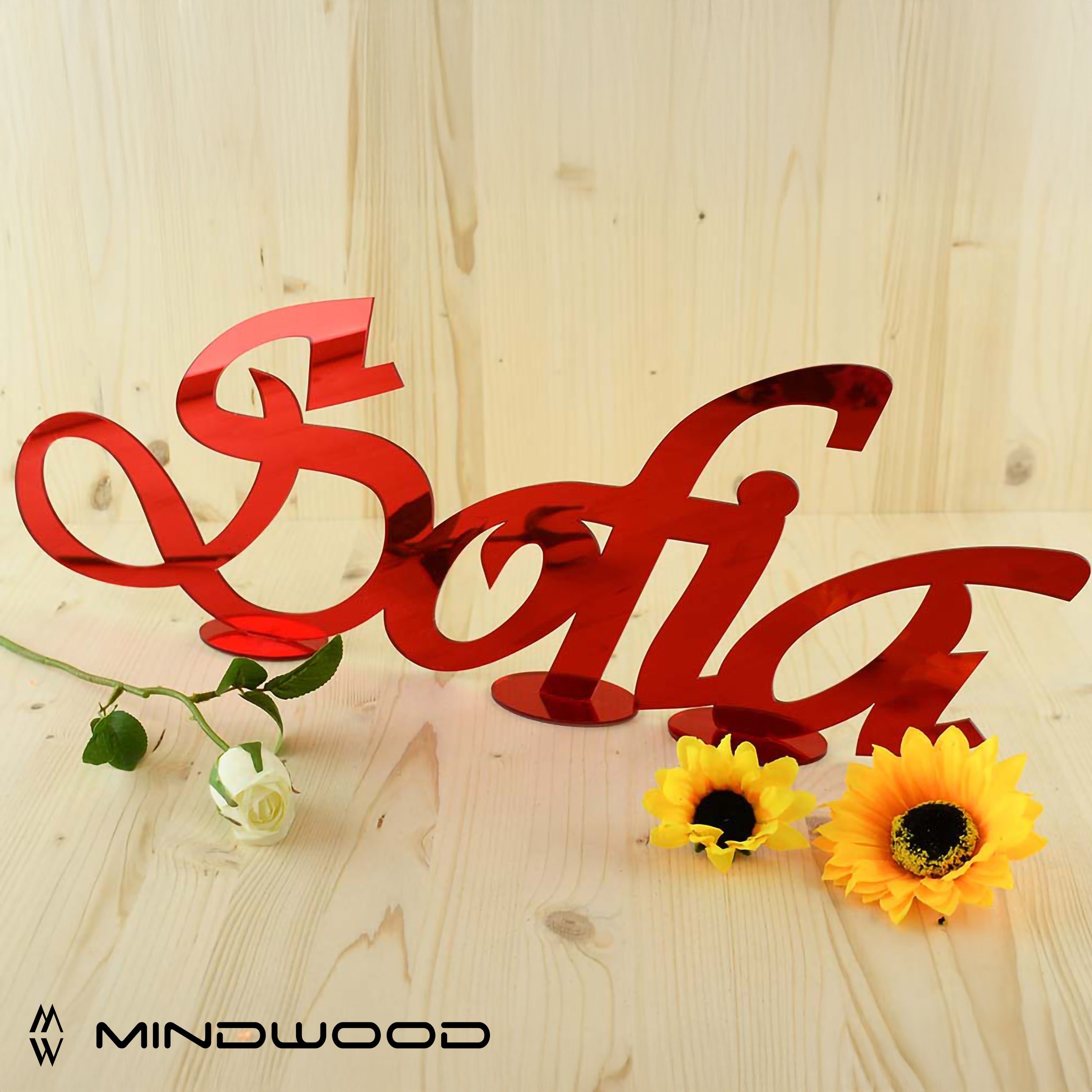 Nomi in Plexiglass Personalizzato