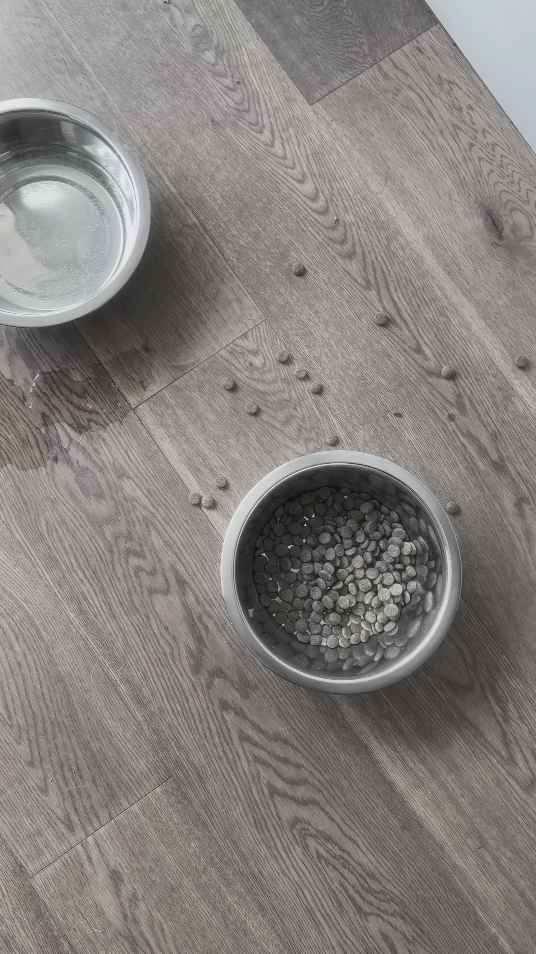 Mindwood | Food Paw - Portaciotole per cani