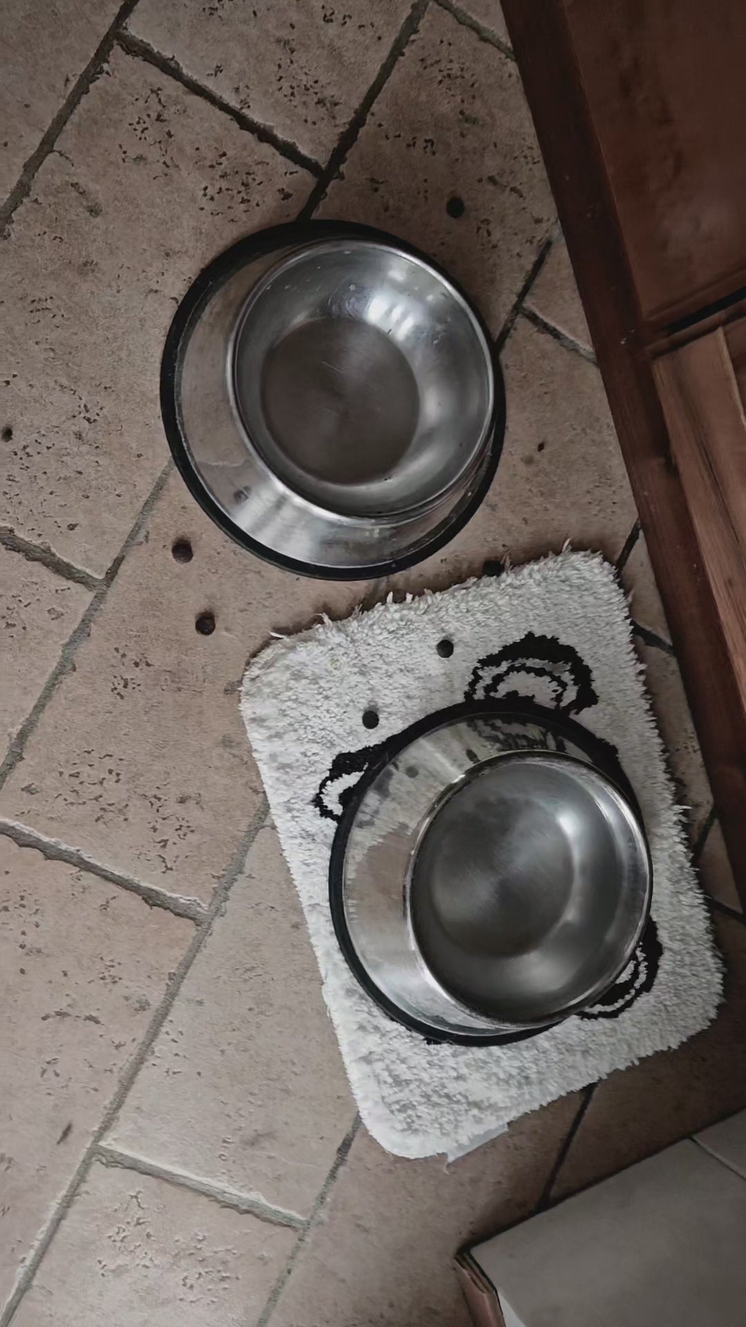 Doggy Stand | Portaciotole per cani