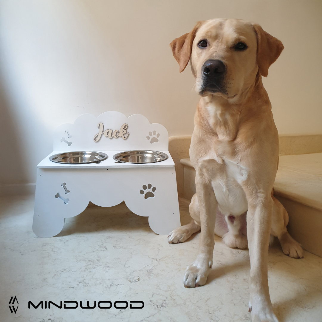 Food Paw | Portaciotole per cani e gatti